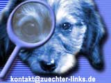 zum Kontaktformular von hunde-links.de - Ihr interaktives Portal rund um Hunde